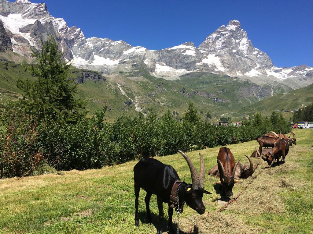 Hotel Mignon Breuil-Cervinia Exterior foto